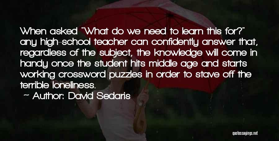 David Sedaris Quotes 496673
