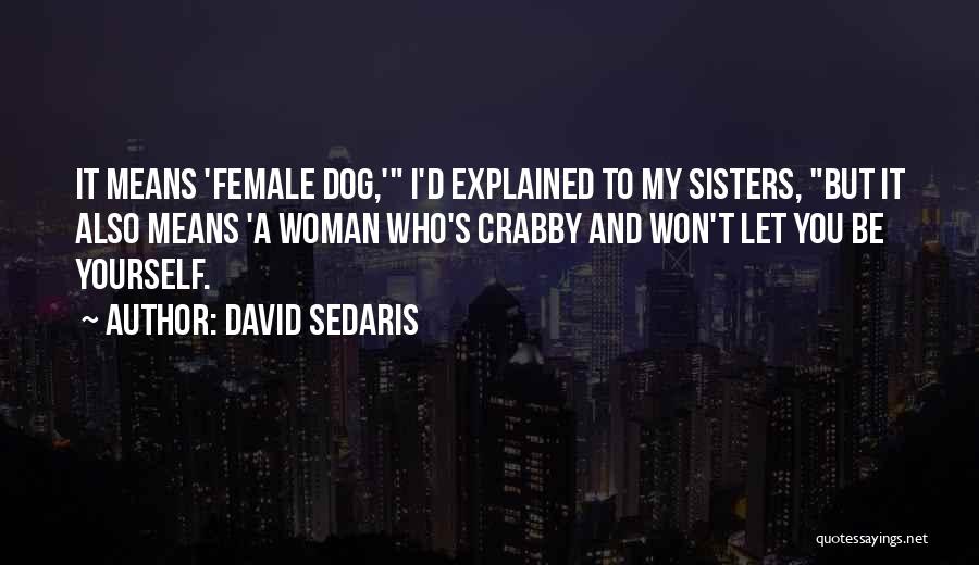 David Sedaris Quotes 552509