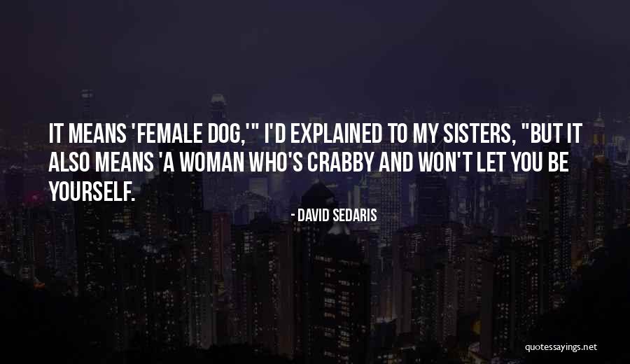 David Sedaris Quotes 552509