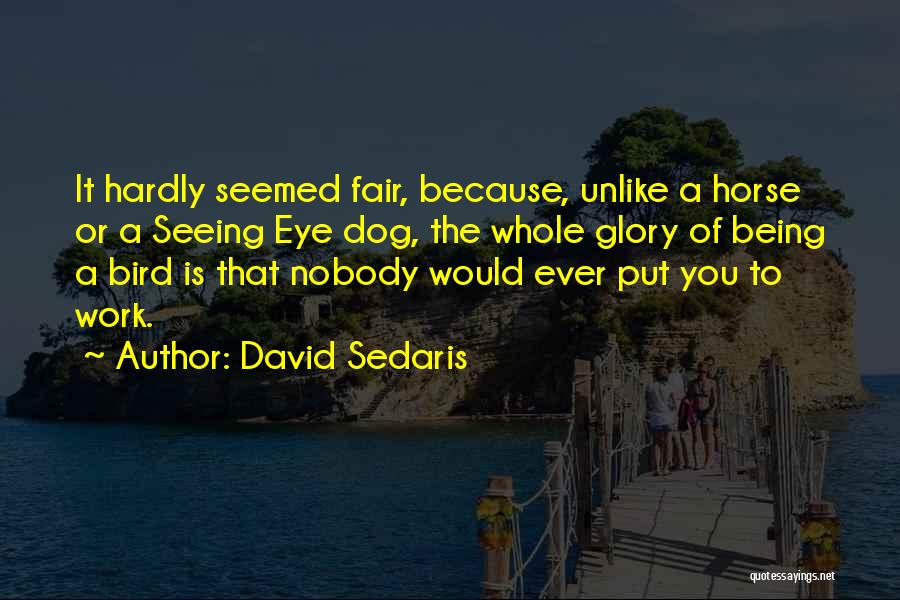 David Sedaris Quotes 578248