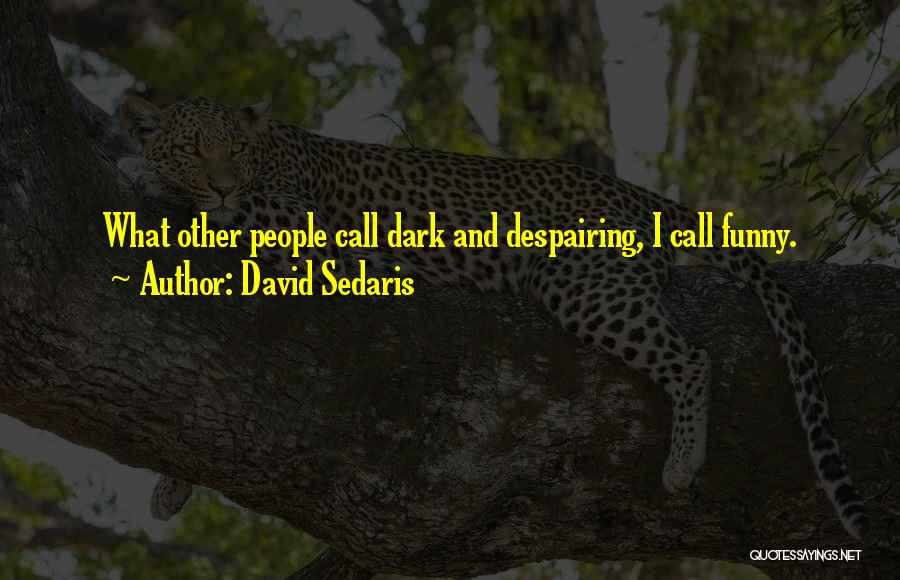 David Sedaris Quotes 677214