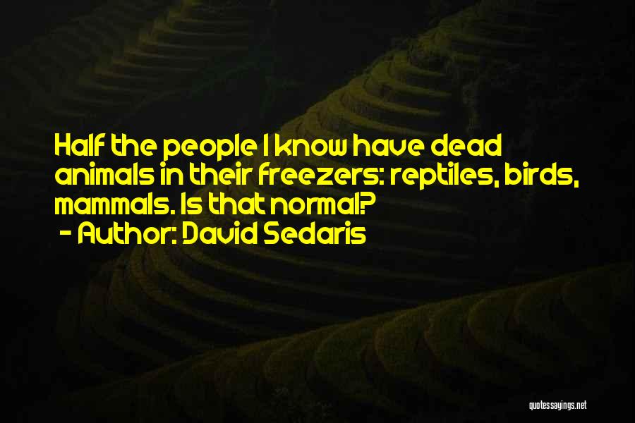 David Sedaris Quotes 717198