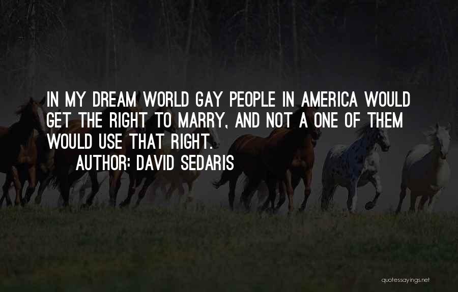 David Sedaris Quotes 718963