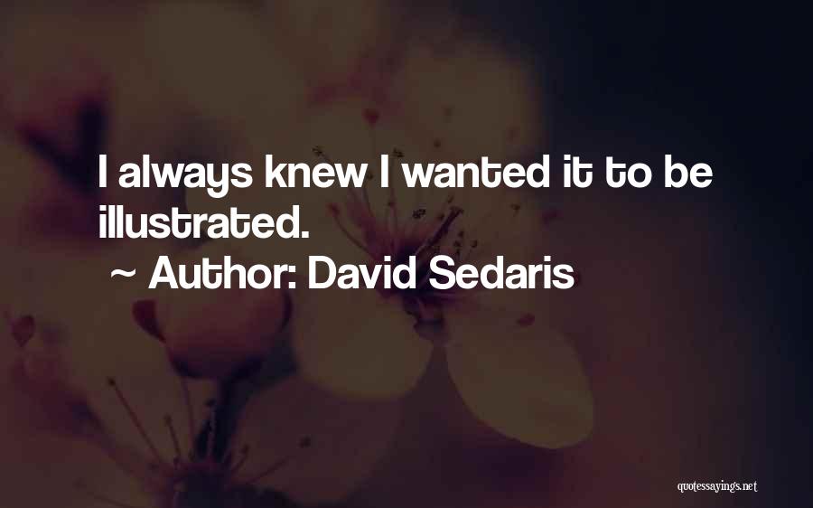 David Sedaris Quotes 733897