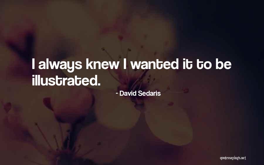 David Sedaris Quotes 733897