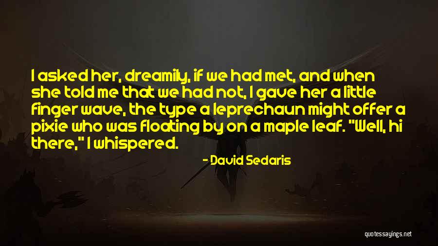 David Sedaris Quotes 812418