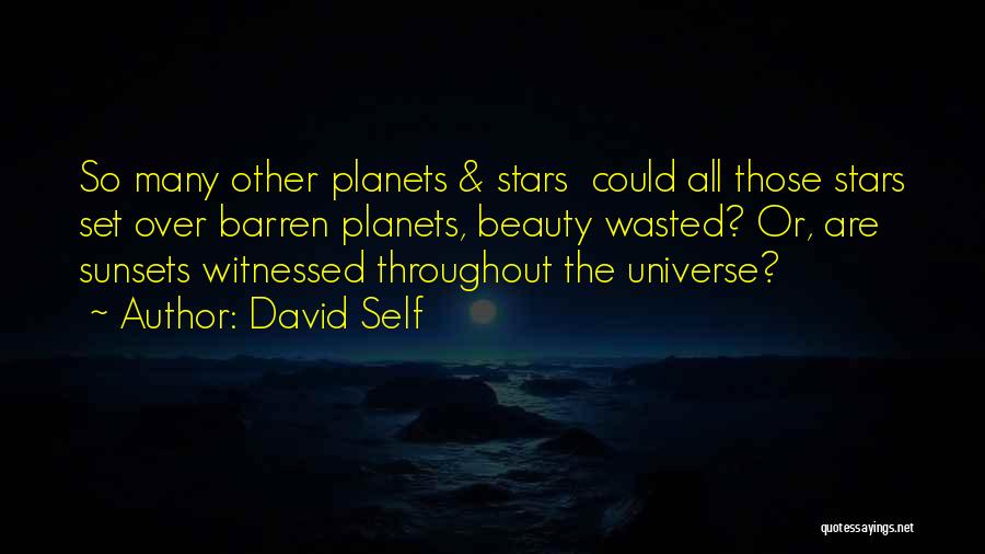 David Self Quotes 241678