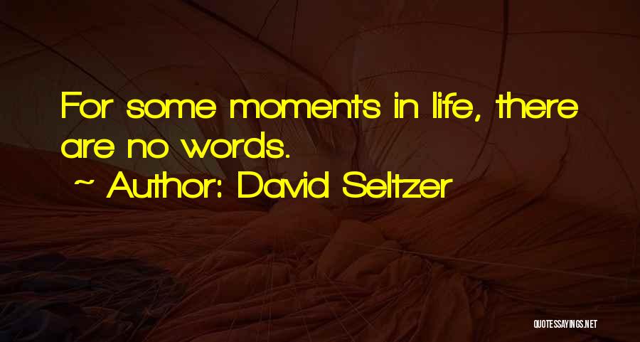 David Seltzer Quotes 403218
