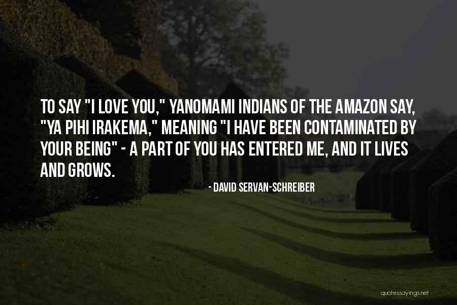 David Servan-Schreiber Quotes 2108535 David Servan-Schreiber Quotes 2108535