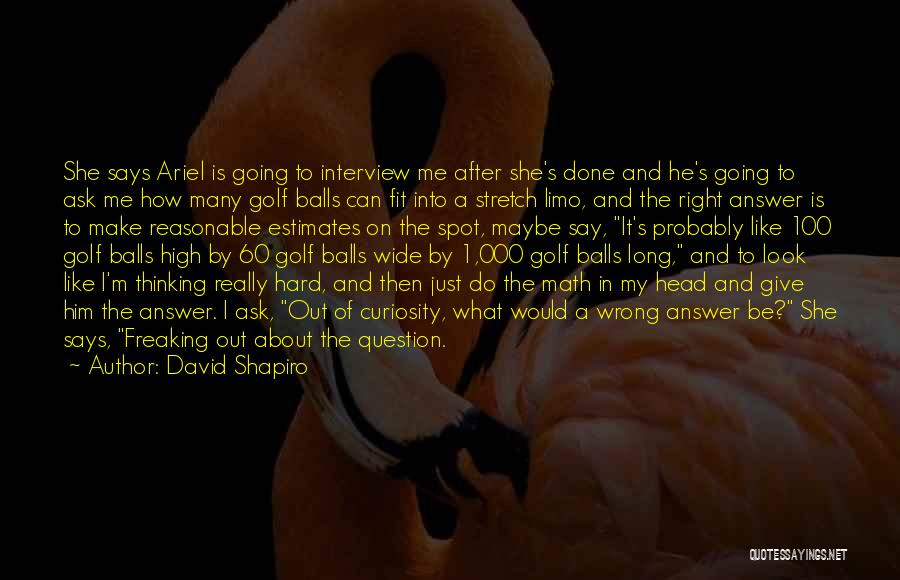 David Shapiro Quotes 1124521