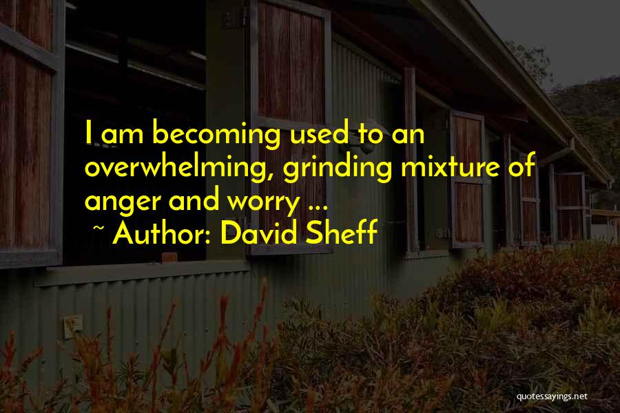 David Sheff Quotes 1440033