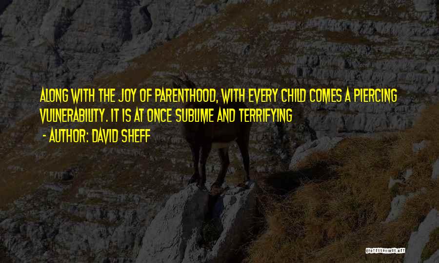 David Sheff Quotes 146507