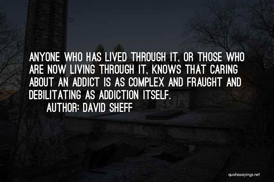 David Sheff Quotes 633214