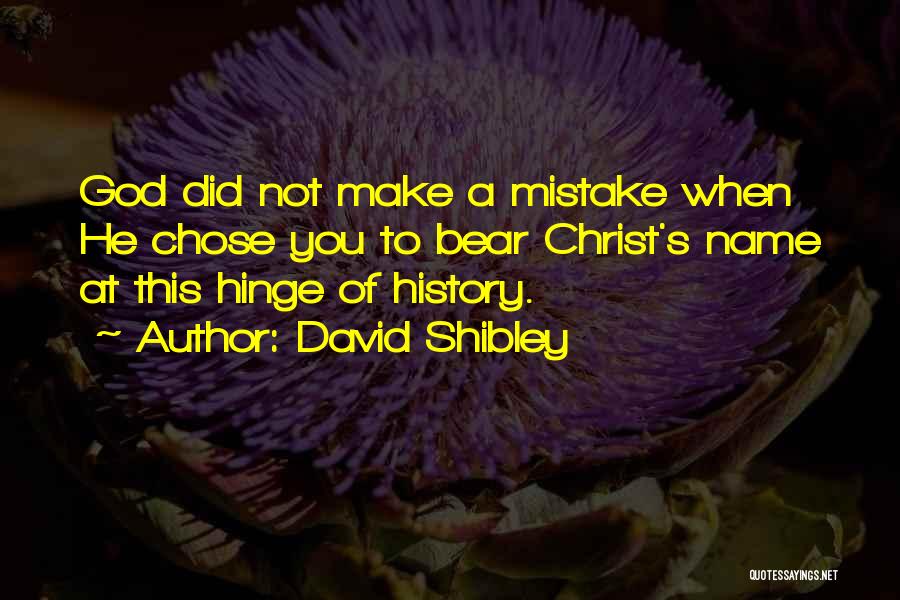 David Shibley Quotes 1840814
