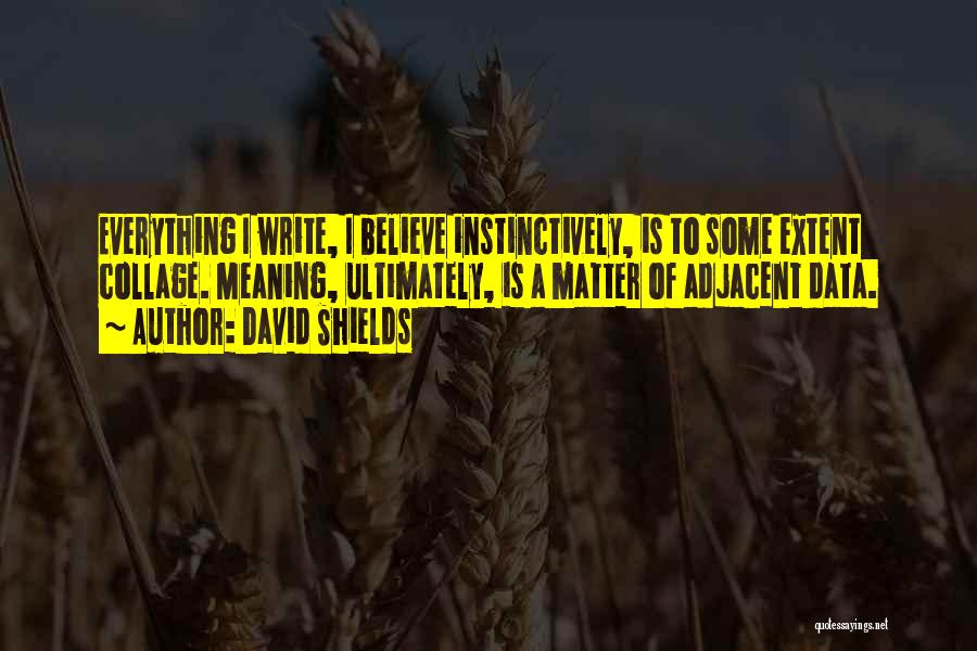 David Shields Quotes 1364145