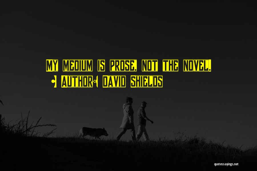 David Shields Quotes 1654577