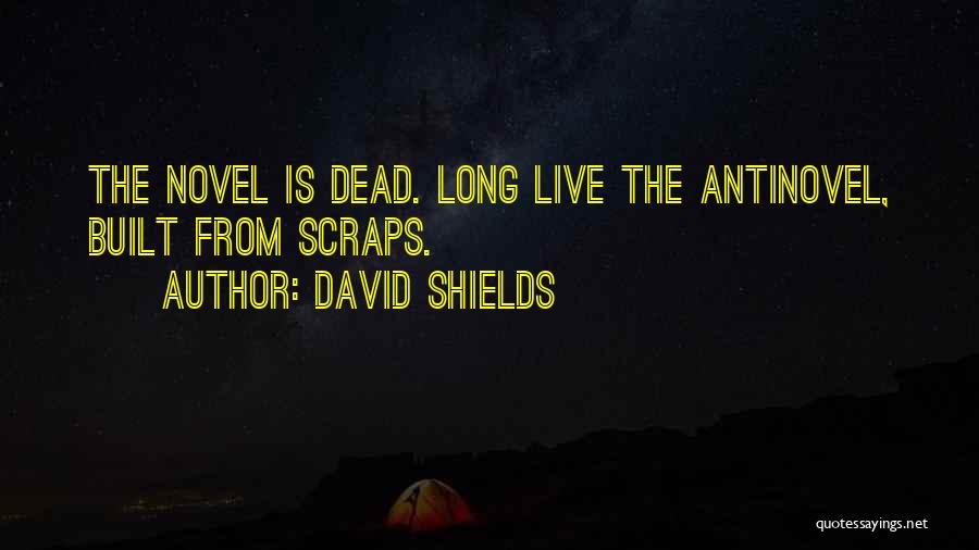 David Shields Quotes 245317