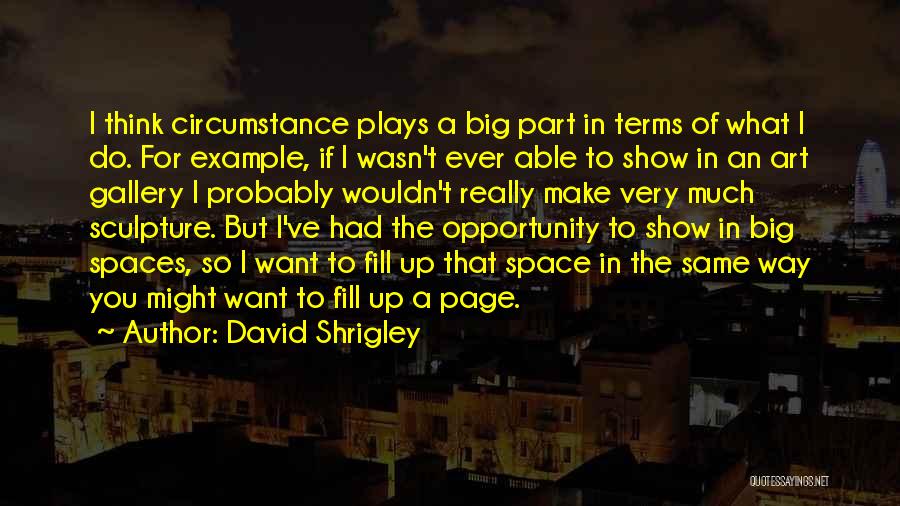 David Shrigley Quotes 1101799