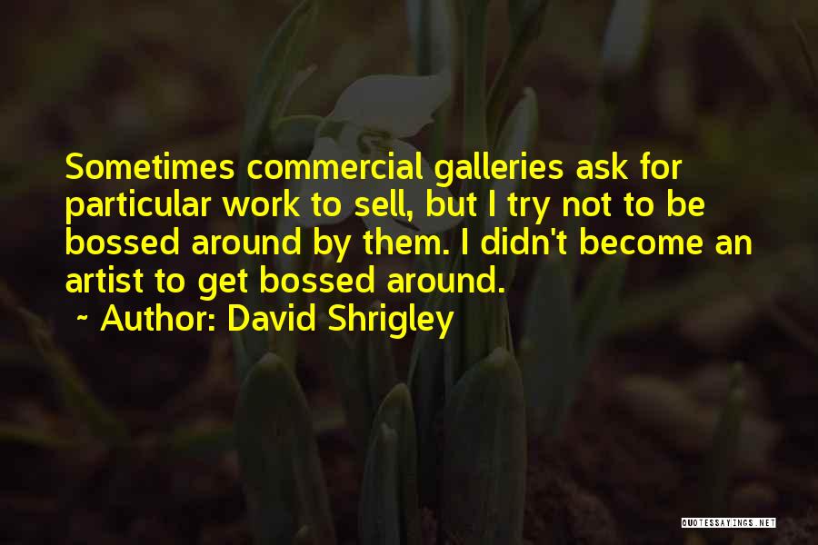 David Shrigley Quotes 1391225