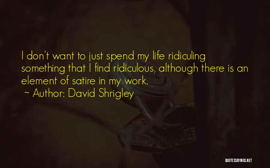 David Shrigley Quotes 1825619