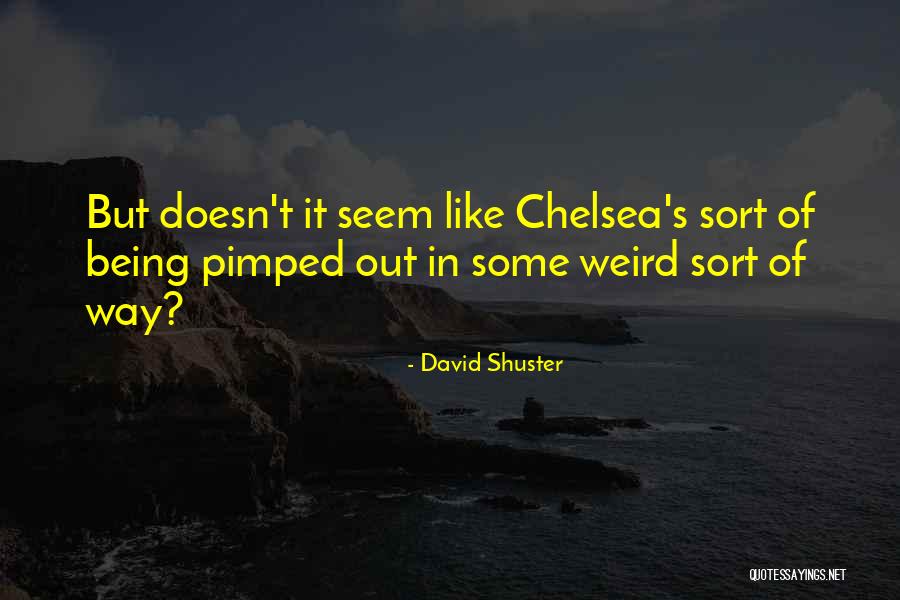 David Shuster Quotes 1600246