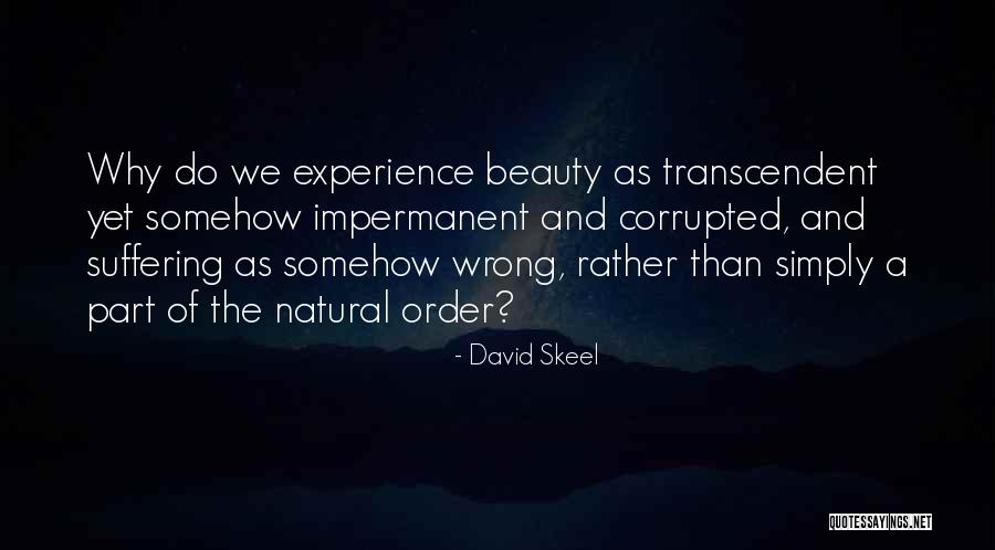 David Skeel Quotes 1637137