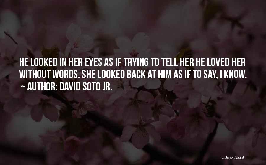 David Soto Jr. Quotes 434562