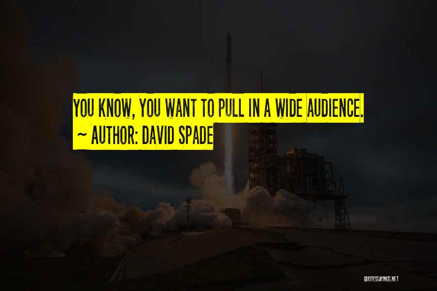 David Spade Quotes 2141224