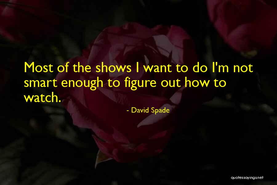 David Spade Quotes 266268