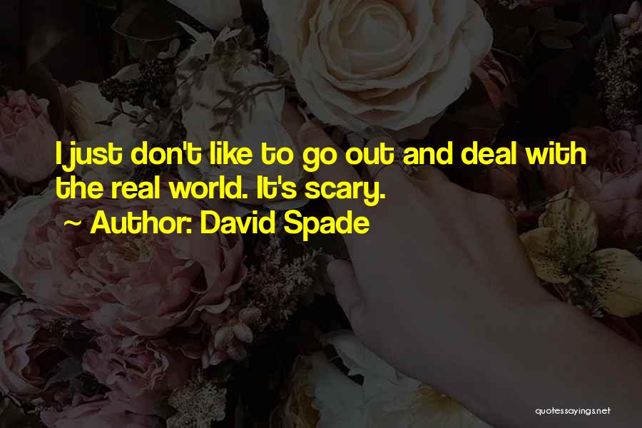 David Spade Quotes 425522