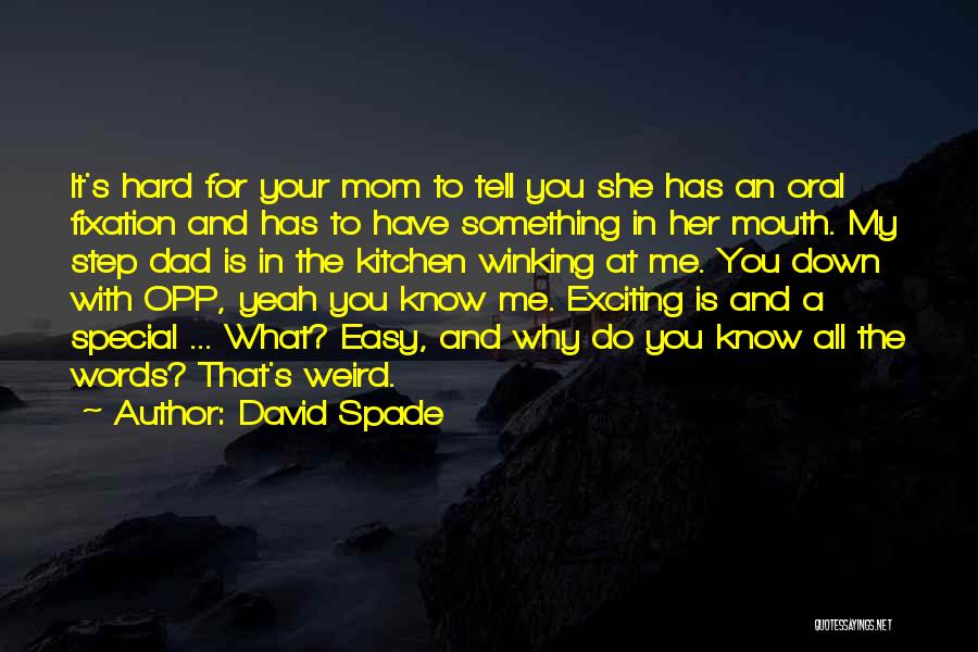 David Spade Quotes 698500