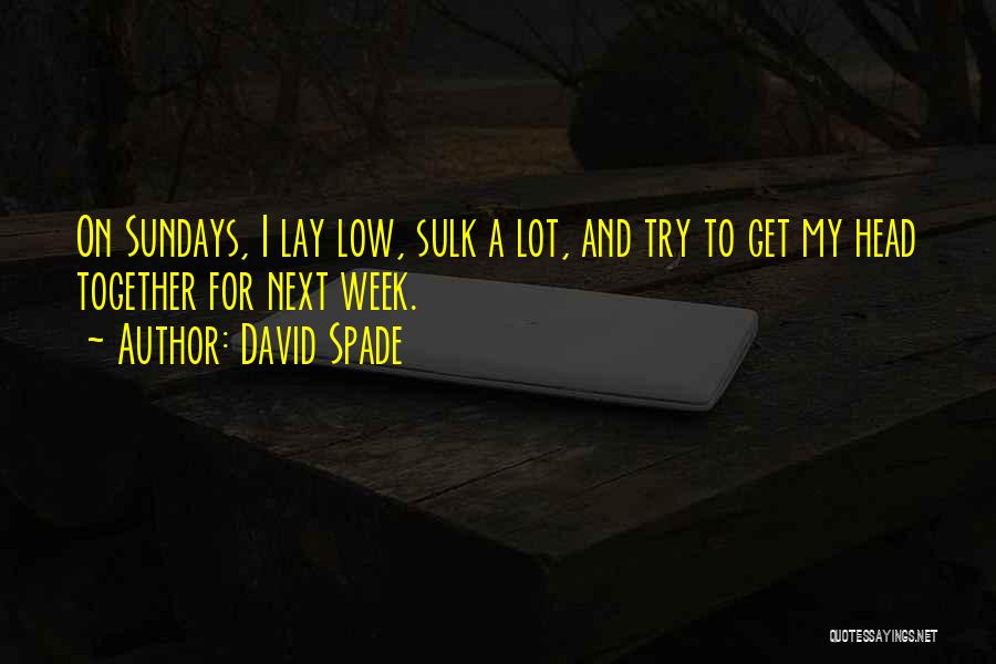 David Spade Quotes 823860