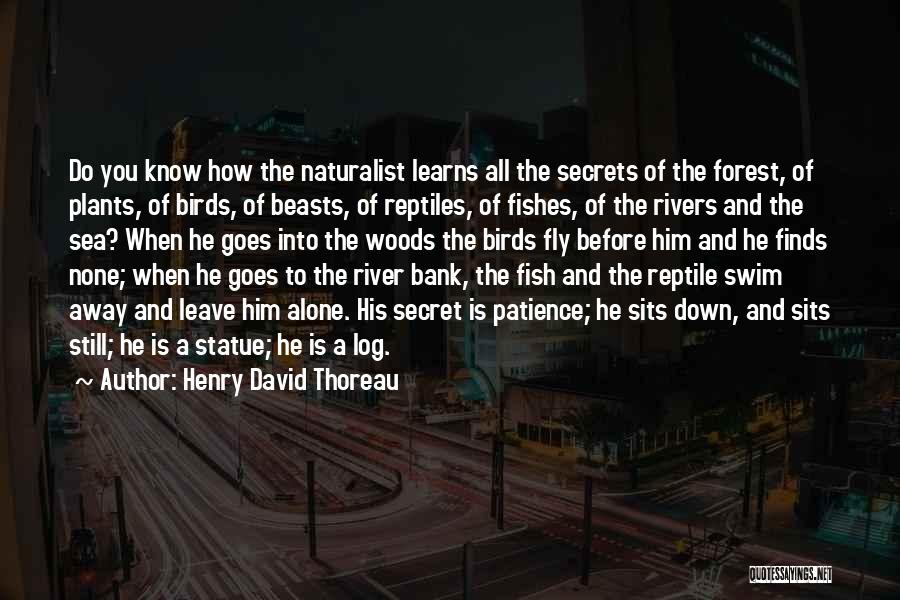 David Statue Quotes By Henry David Thoreau