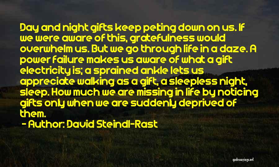 David Steindl-Rast Quotes 1333729