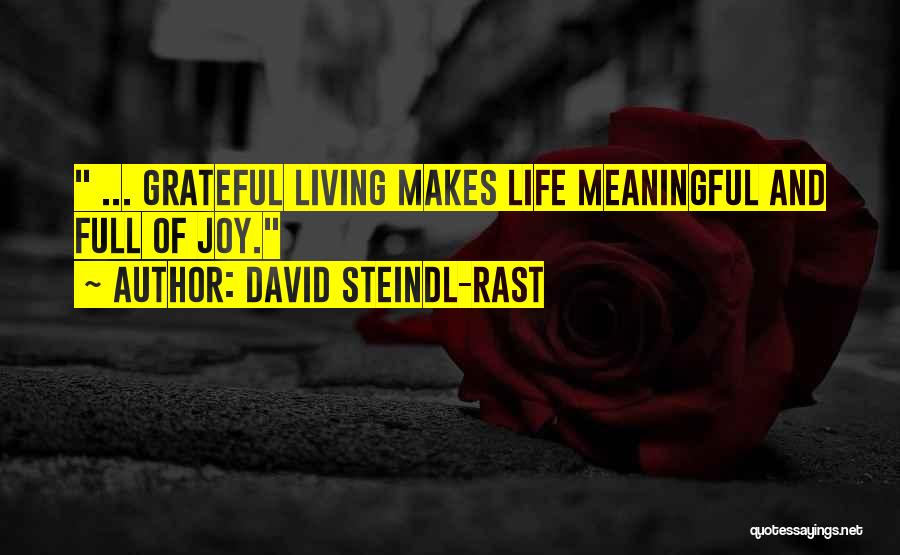 David Steindl-Rast Quotes 1504929