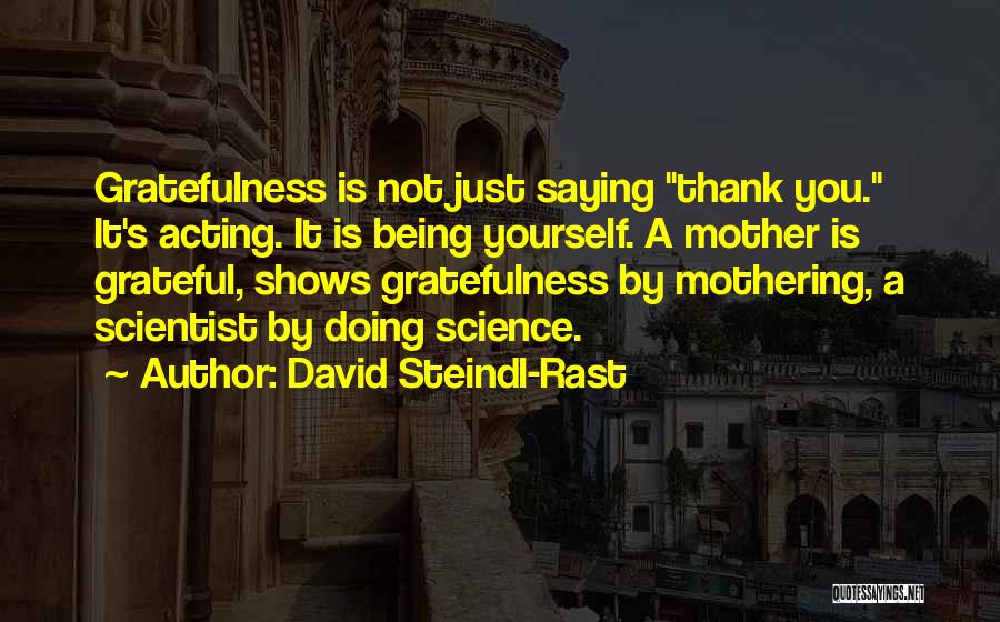 David Steindl-Rast Quotes 370149