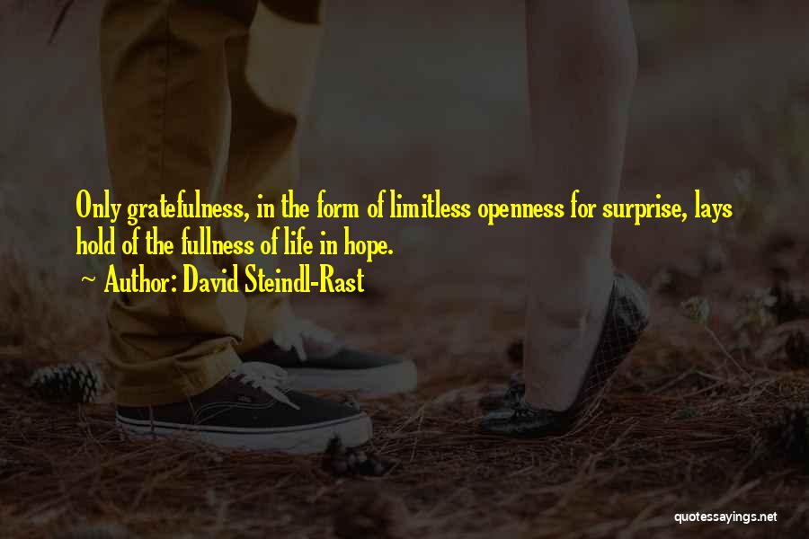 David Steindl-Rast Quotes 78245