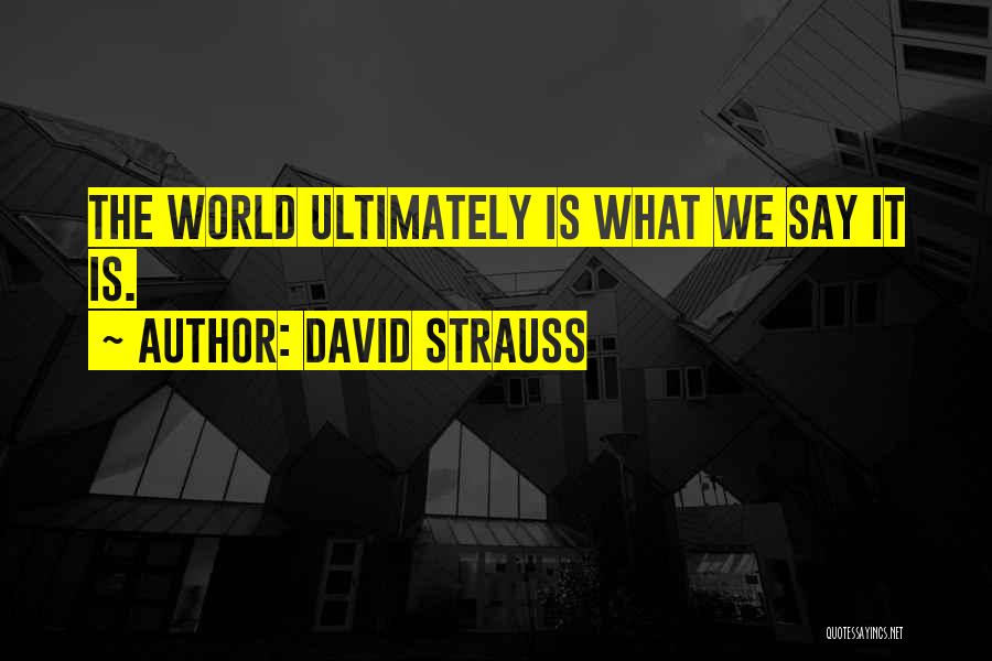 David Strauss Quotes 472561