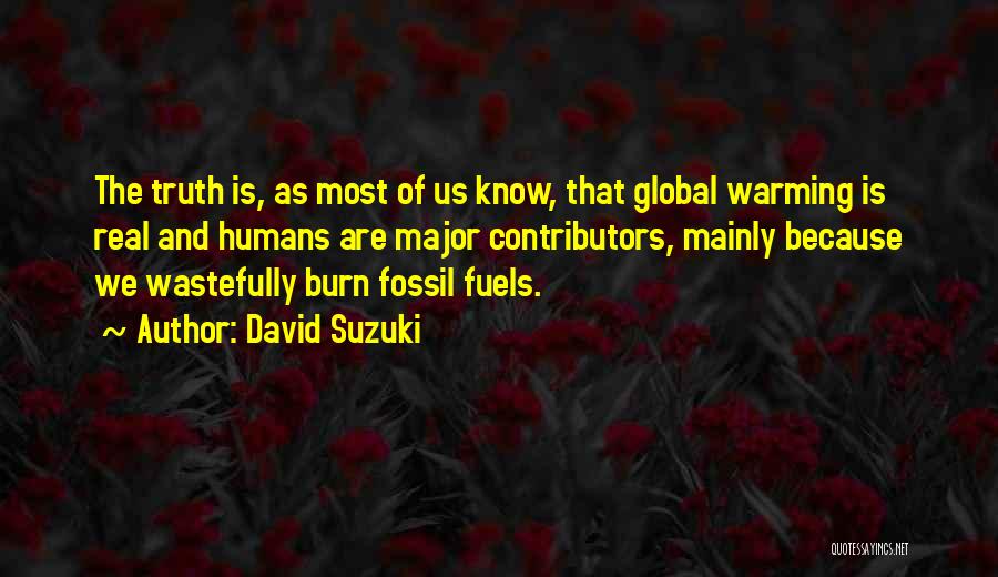 David Suzuki Quotes 1313786