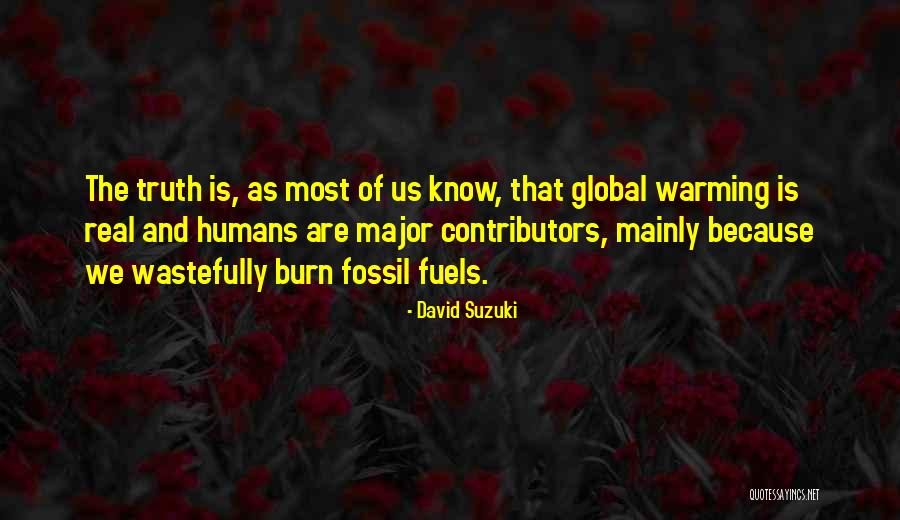 David Suzuki Quotes 1313786