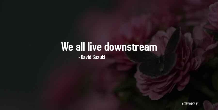 David Suzuki Quotes 1432395