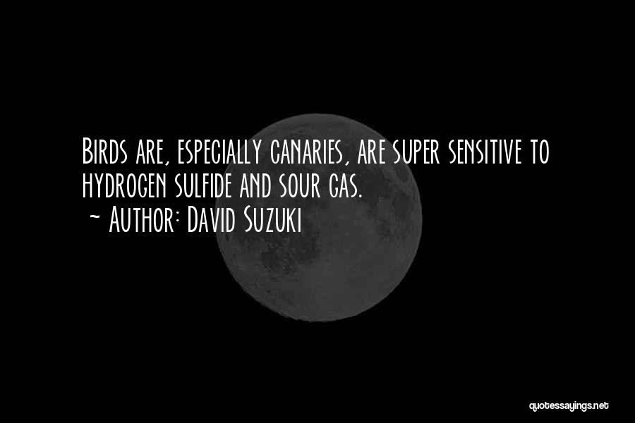 David Suzuki Quotes 1618163