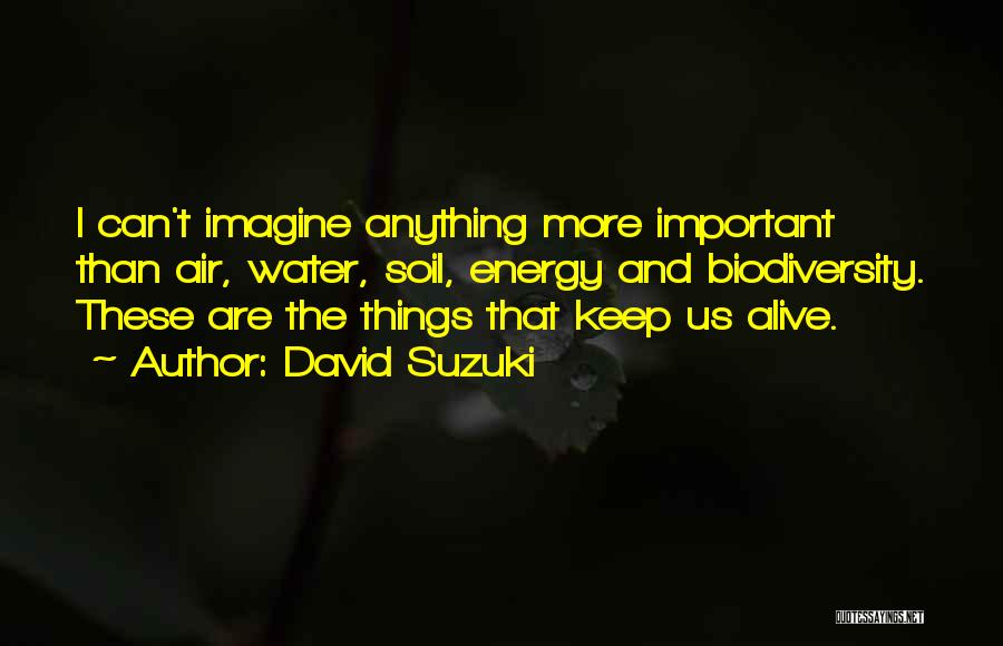 David Suzuki Quotes 1623252