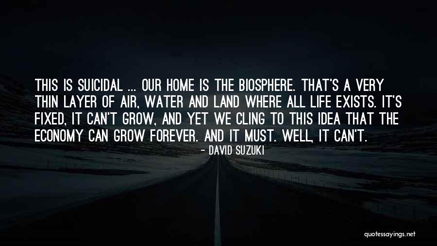 David Suzuki Quotes 1650849