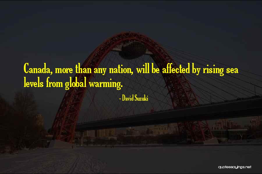 David Suzuki Quotes 1985118