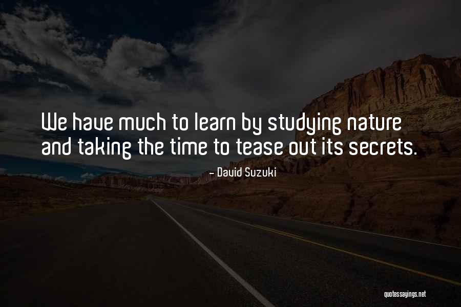 David Suzuki Quotes 778227