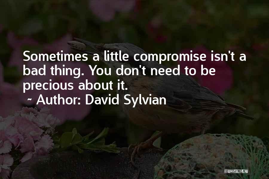 David Sylvian Quotes 1977636