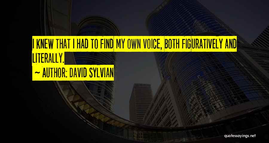 David Sylvian Quotes 871985