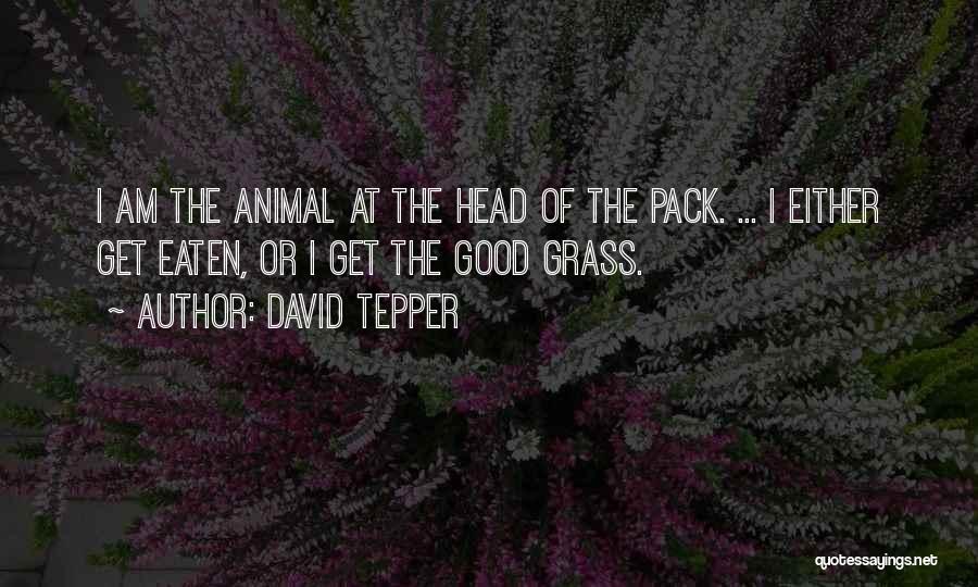 David Tepper Quotes 935849