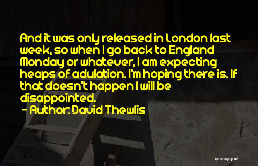 David Thewlis Quotes 585118